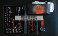配资之家带你深度解析投资市场的风险与机遇