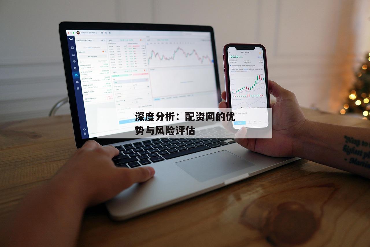深度分析：配资网的优势与风险评估